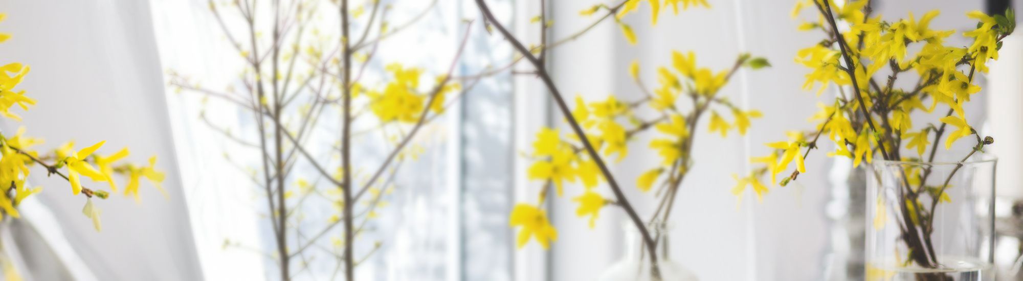 Bade- und Saunaprodukte Deutschland